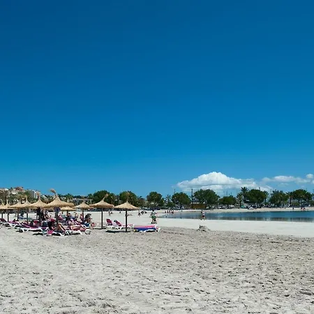 Zodiac 545 Port de Alcudia (Mallorca)